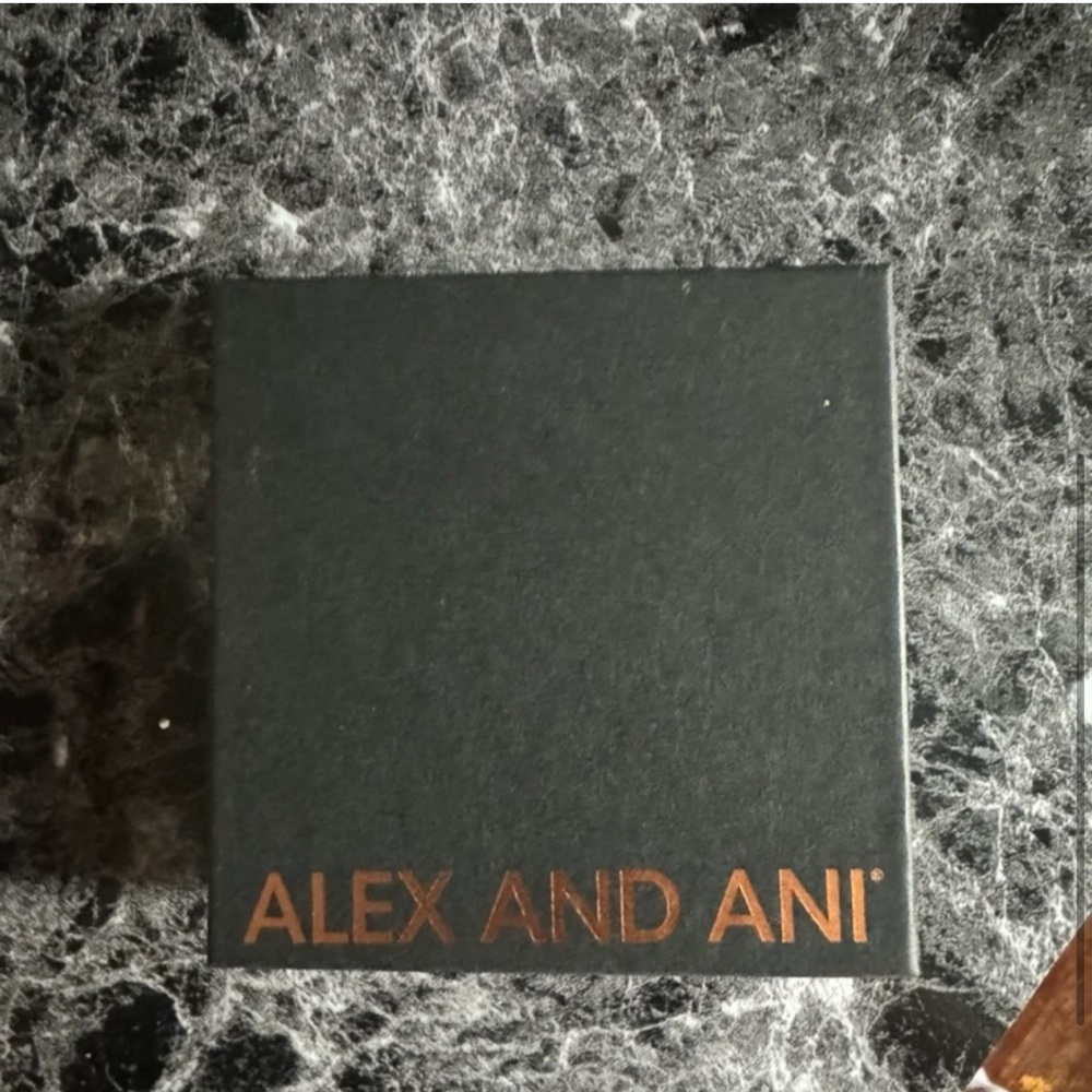 Jenny Bird gold silver chain bracelet Alex & Ani silver Moon + Sun Flex Cuff - Picture 5 of 10